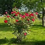 Gorski Z Basenem 公寓 Raba Wyzna