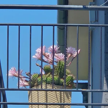 Gorski Z Basenem Daire